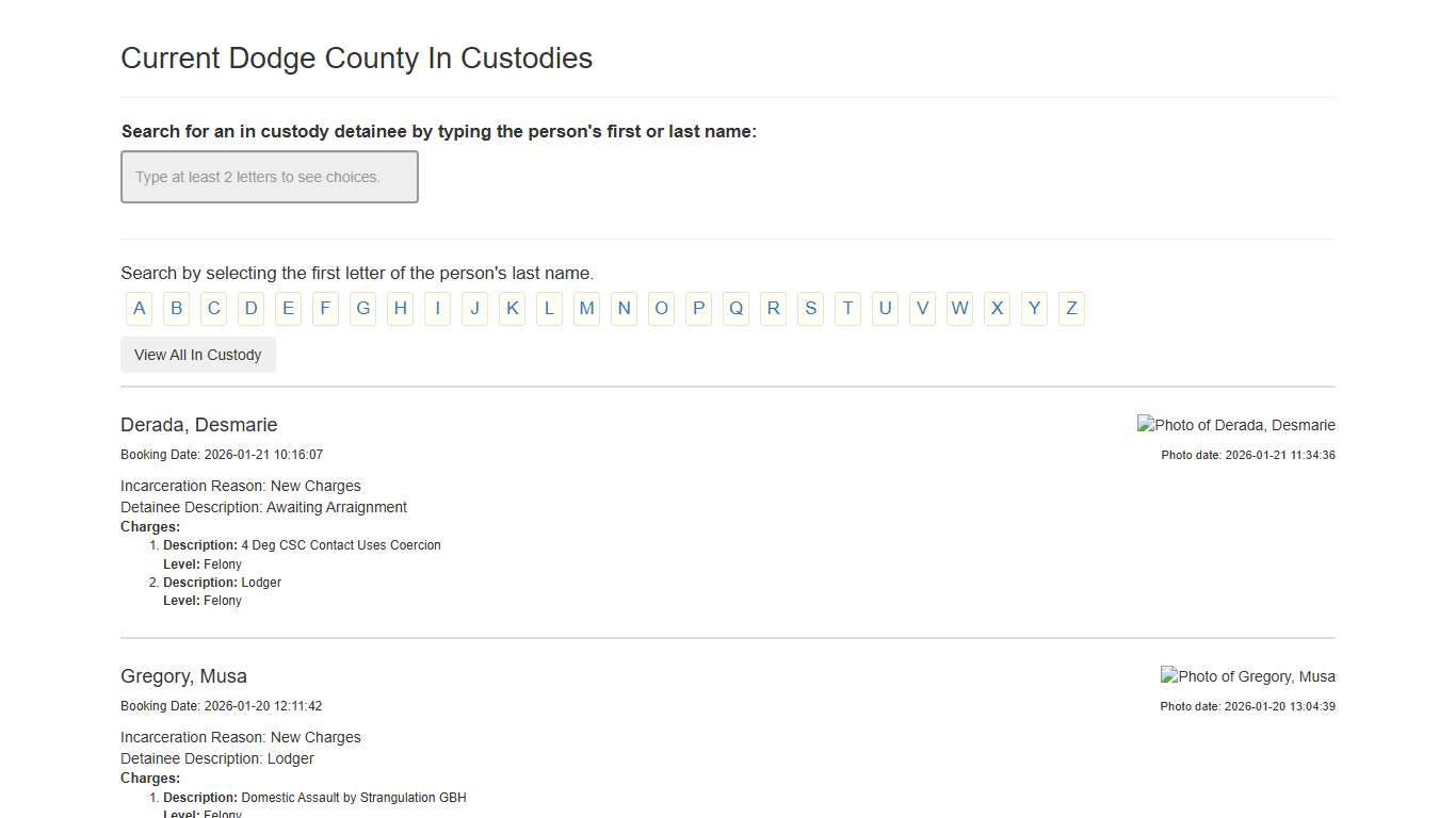 Current Dodge County In Custodies